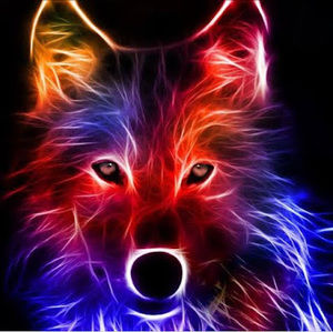 Meet your Posher, Giselle